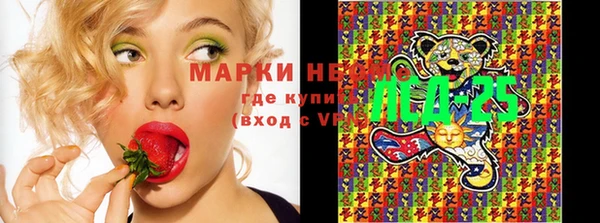 прущие грибы Лагань
