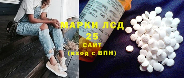 прущие грибы Лагань