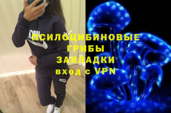 прущие грибы Лагань
