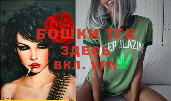 прущие грибы Лагань